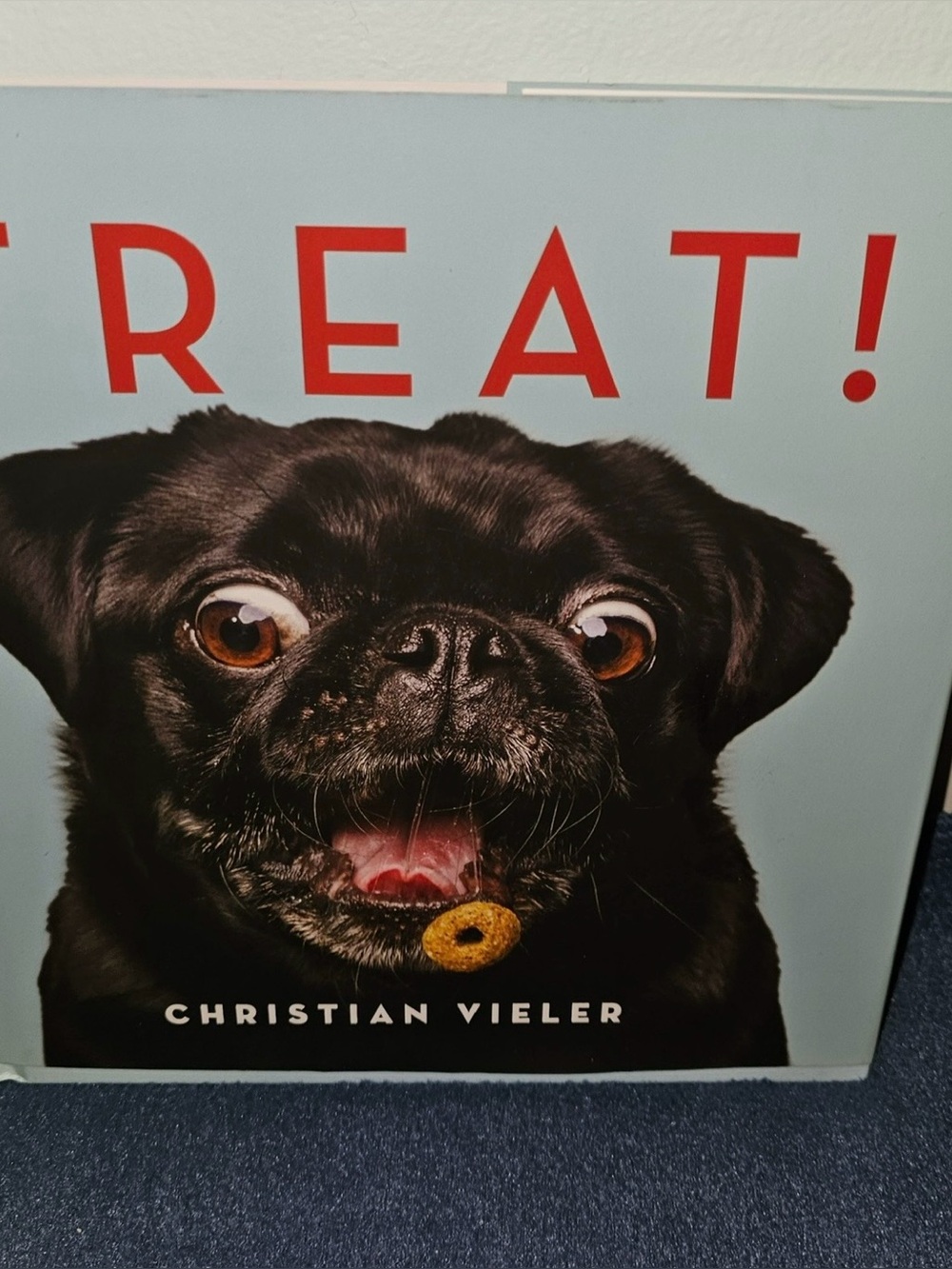 NEW TREAT! BOOK BY CHRISTIAN VIELER